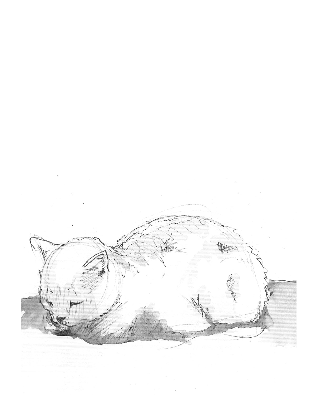 Loaf Cat - Print