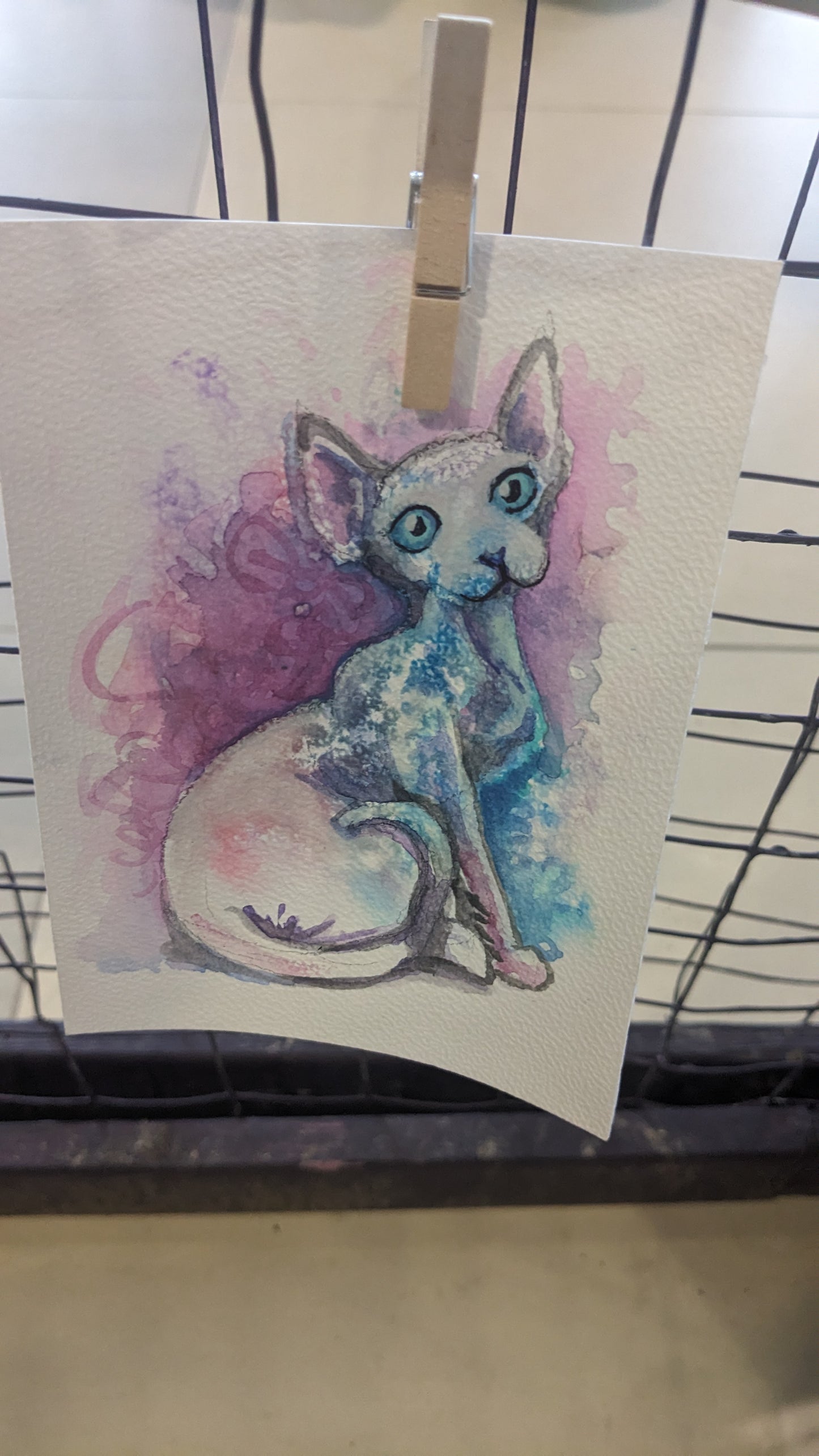 Sphynx Cat - Original