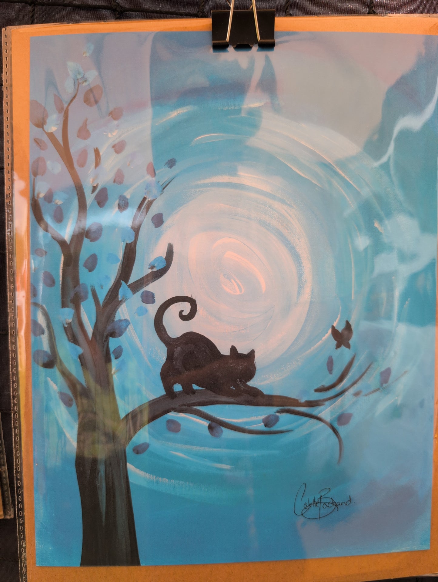Swirl cat