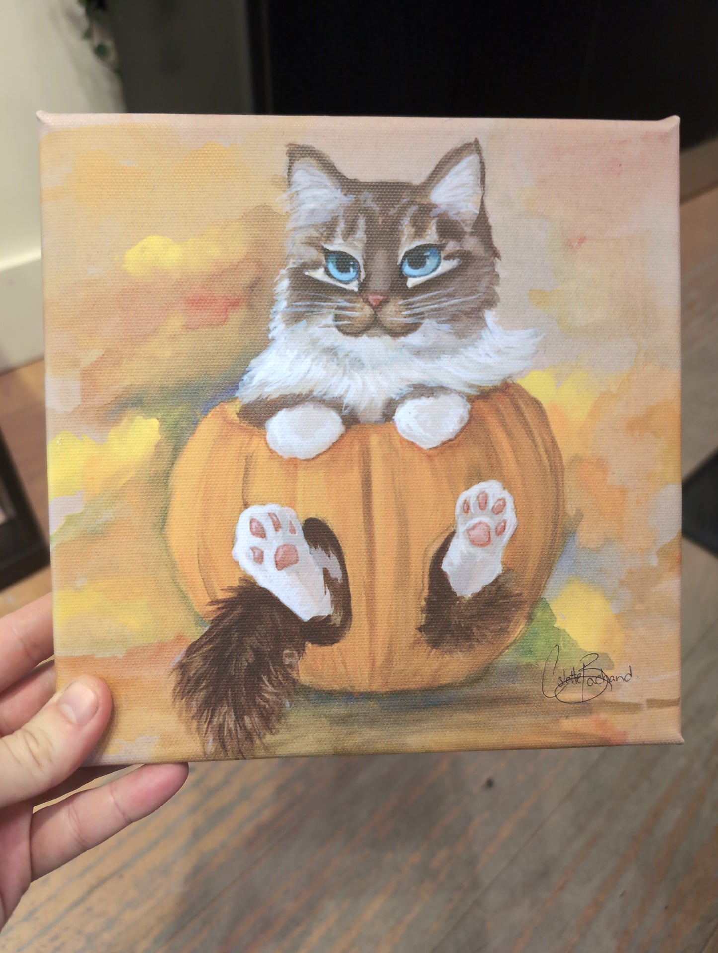 Pumpkin Cat - Canvas
