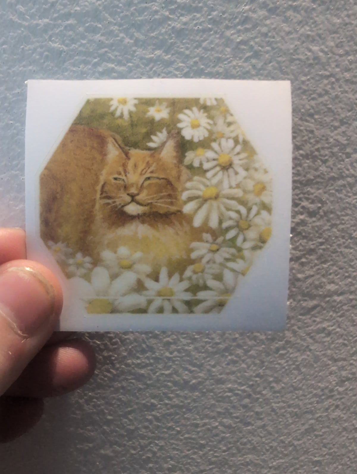 Daisy Cat Sticker