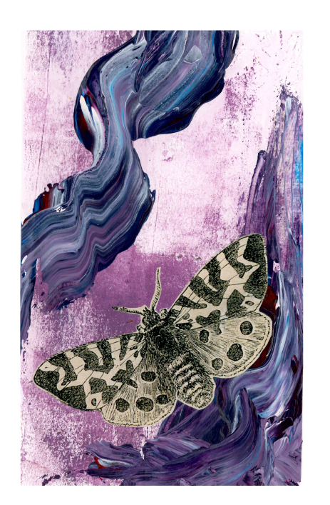 Purple - Butterfly