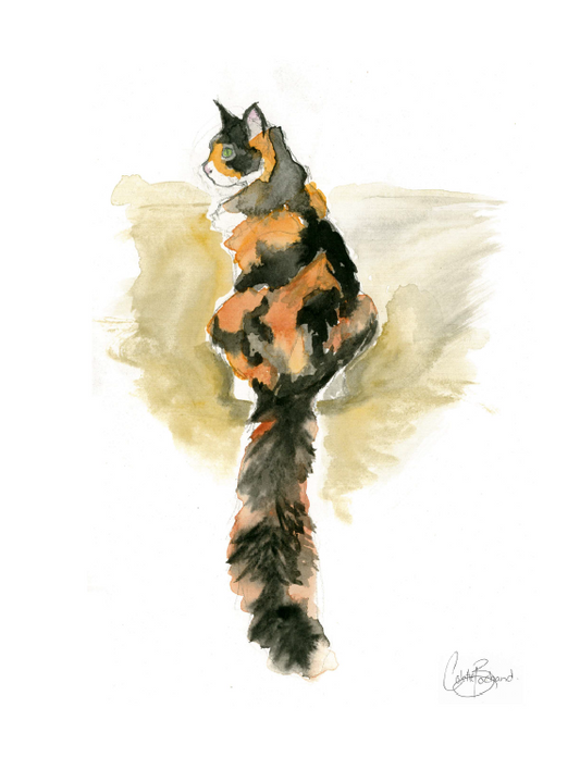 Calico cat - Print