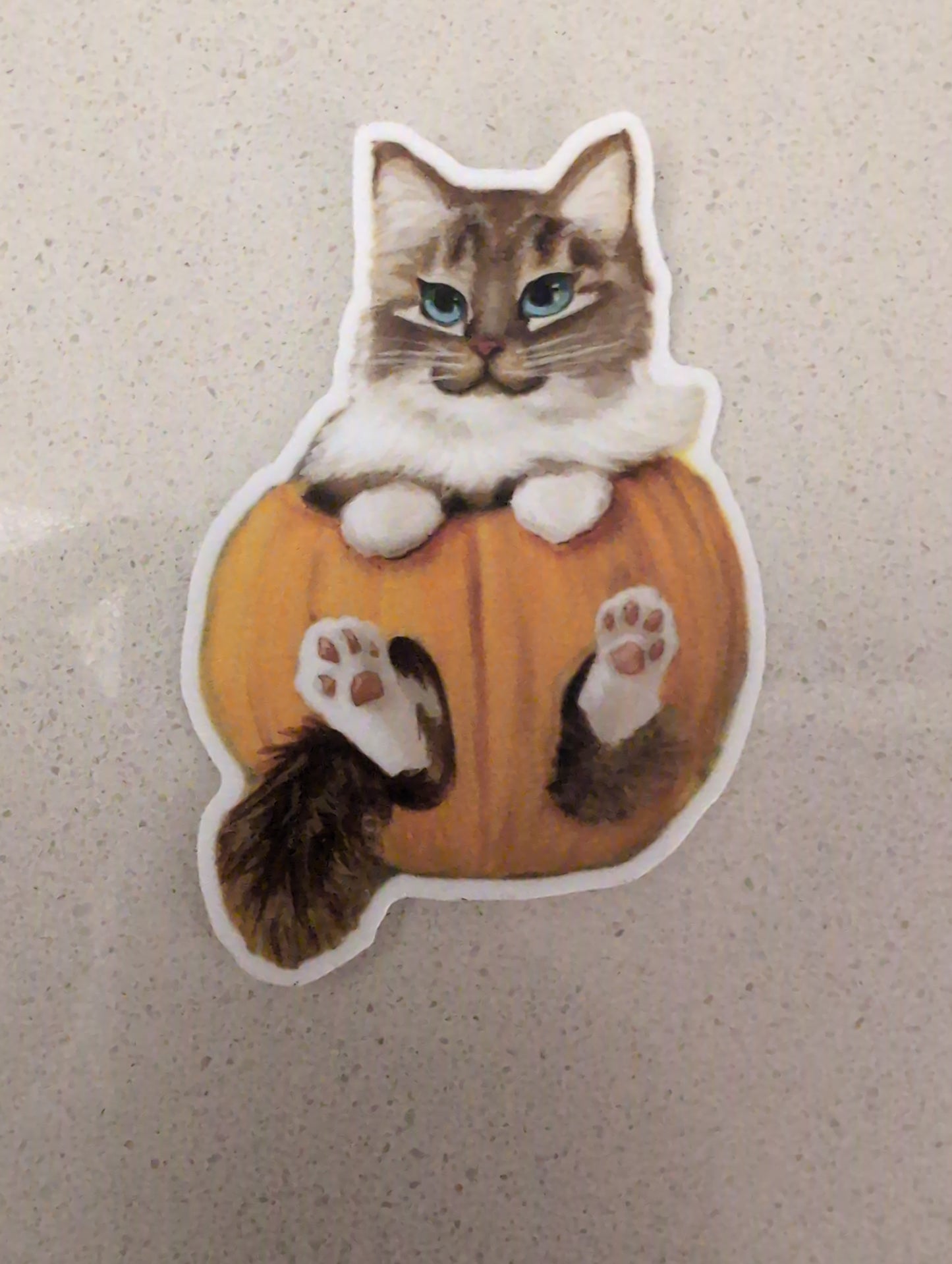 Pumpkin Cat - Sticker