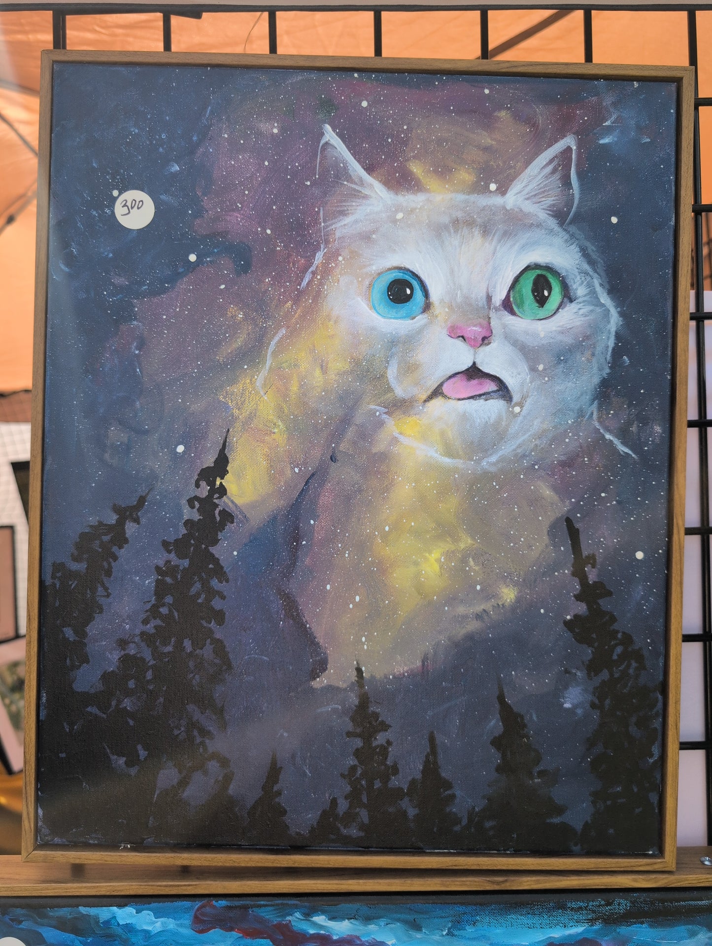 Space Derp