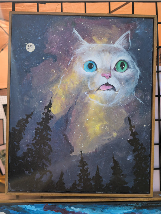 Space Derp Canvas
