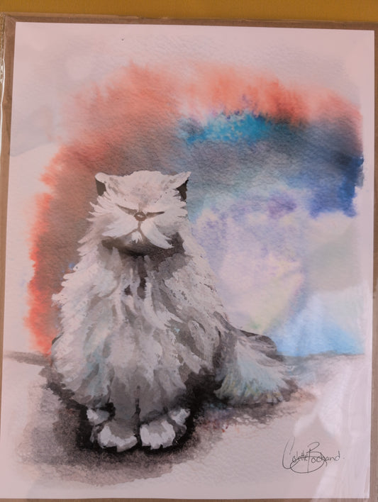 Grump cat