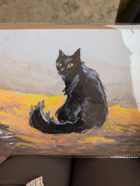 Shadow cat
